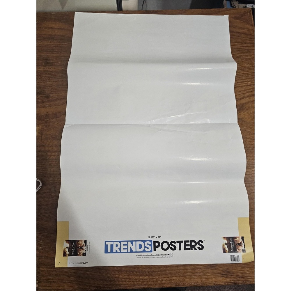 Attack On Titan Eren Yeager Colossal Anime Poster 22x34 Trends Funimation Color - Picture 8 of 9